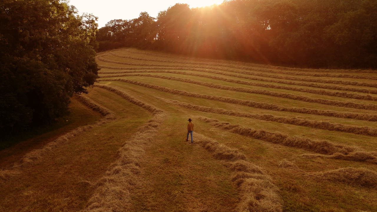 Cover frame from the music video Golden Hour Harvest